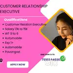 Customer Relation Executive
