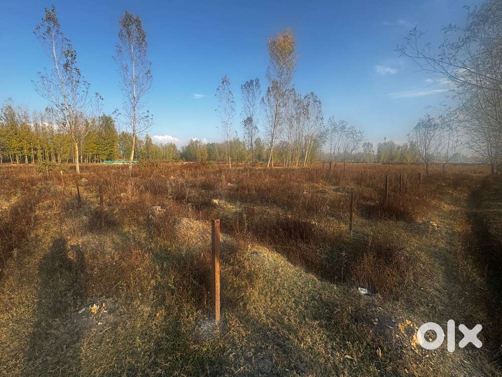 For Sale: 13-marla investment plot in Srinagar, near ring road panzina