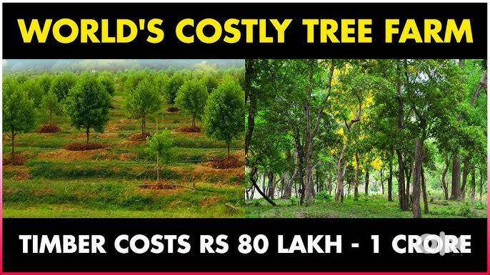 PURCHASE A PLOT Rs- 3LAKHS. RETURN Rs-1.8 CRORE
