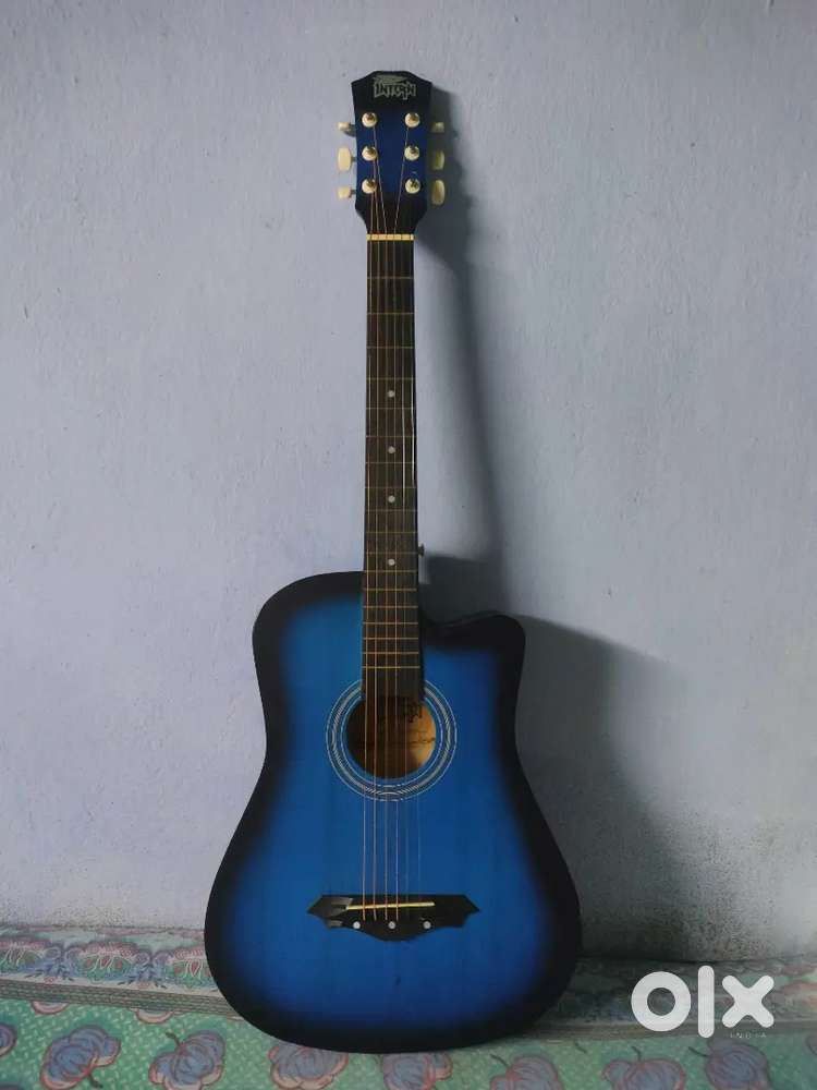 Intern Acoustic Guitar
