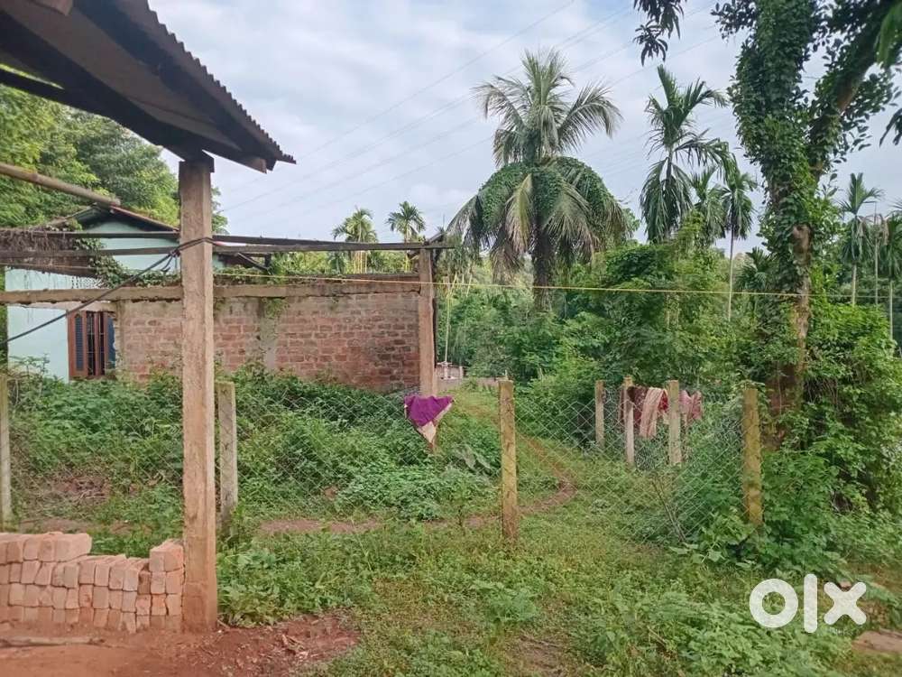 My house and land sell in chandrapur