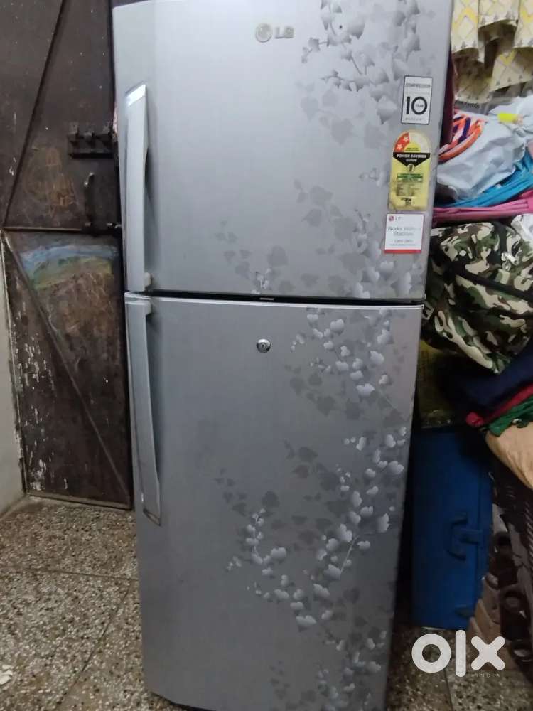 Lg double door