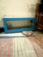 पुचका पेटी
