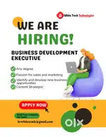 BUSINESS DEVELOPMENT EXECUTIVE