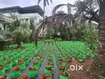 10 cent Land for Sale @Athani Kalpaka nagar Near Nedumbassery