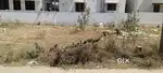 2.41 cents Land For Sale @ vadavalli , New Golden Nagar