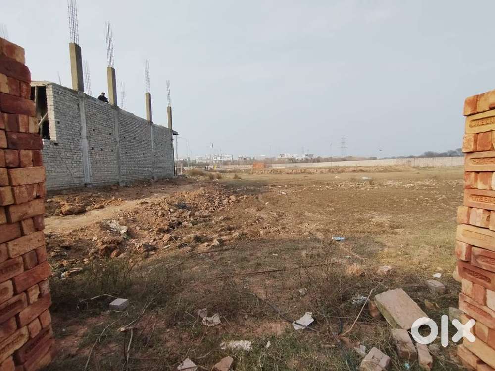 Tdi City Plot 250 Yard Sector 116 Mohali