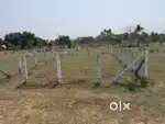 Pallakadiyam