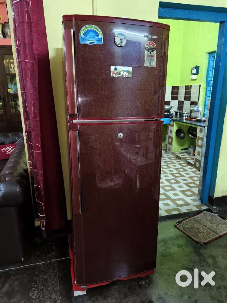 Double Door Samsung Fridge