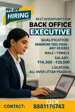 Back Office Executive