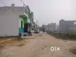 PLOT FOR SALE DADARI NAGAR PALIKA GREATER NOIDA