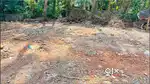 Prime Land for Sale – 11 Cents at Panniyankara (payyanakkal side)