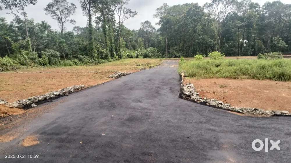 Ernakulam Thiruvaniyoor nadukurish main road area plot for sale