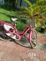 Lady bird cycle