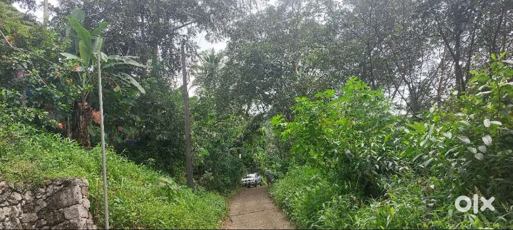 Rubber plot for sale