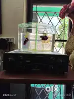 Amplifier & two tower speakers