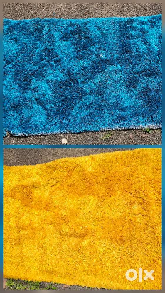 Rug/Carpet