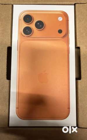 17 pro max 256gb Indian