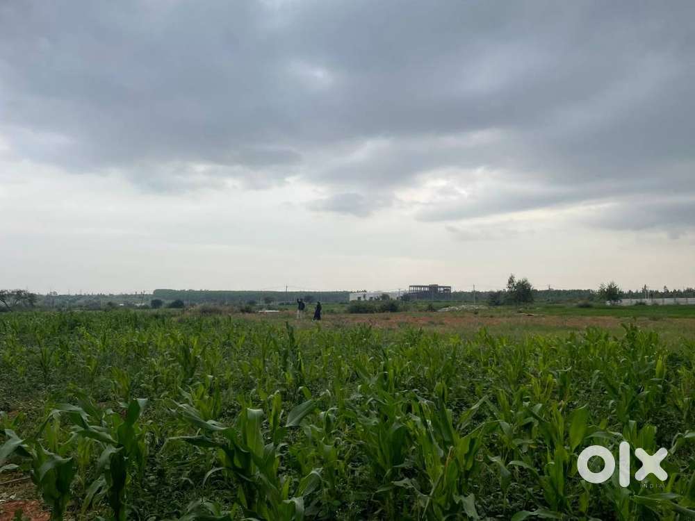 Premium Residential Plots