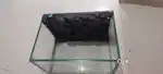 FISH TANK WITH CARVED 3D STONE BACKGROUND