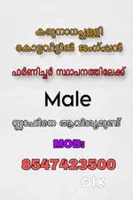 Furniture shop job