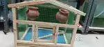 Bird cage available
