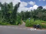 Hajan botanical park jaka 100m na surok