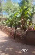 10cents with tiled roop house