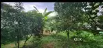 Residential Plot For Sale in Anchal, House Plot Sale in Anchal, Kollam