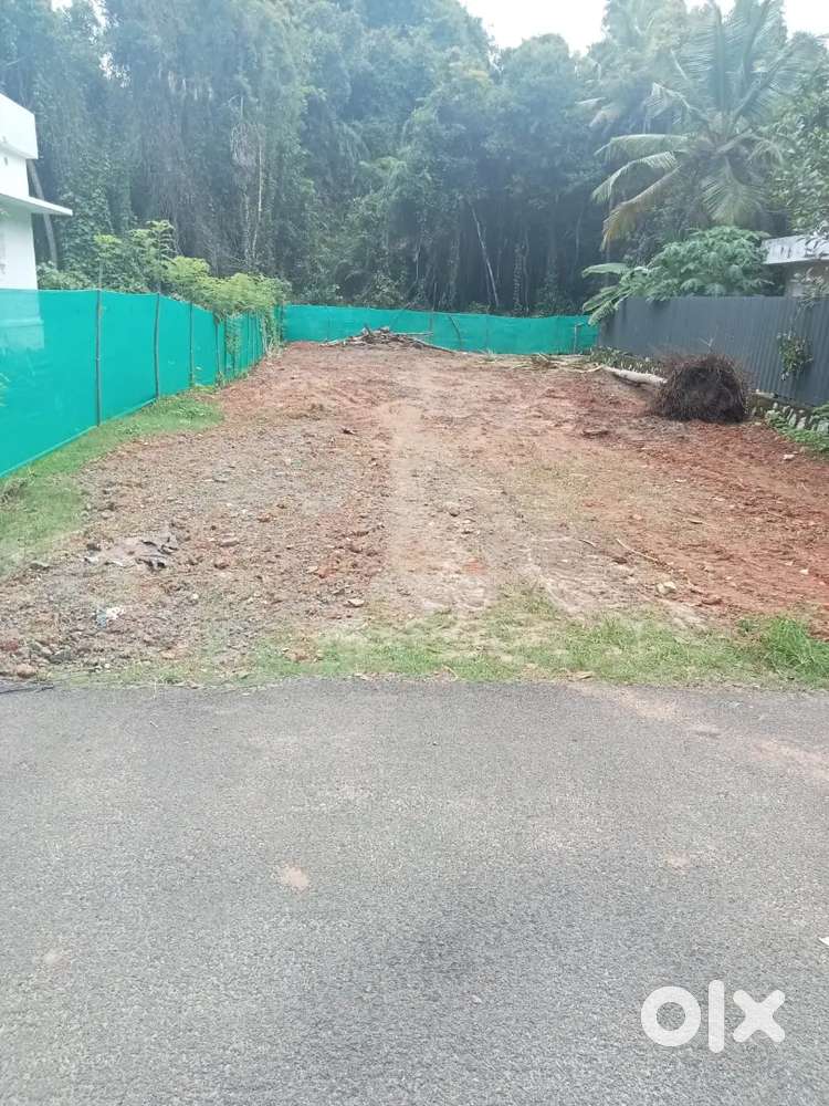 13 cent Roadside plot behind kariyapalli temple, kuttipuram,thazhava,