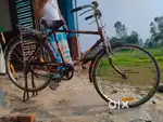 Kids Cycle
