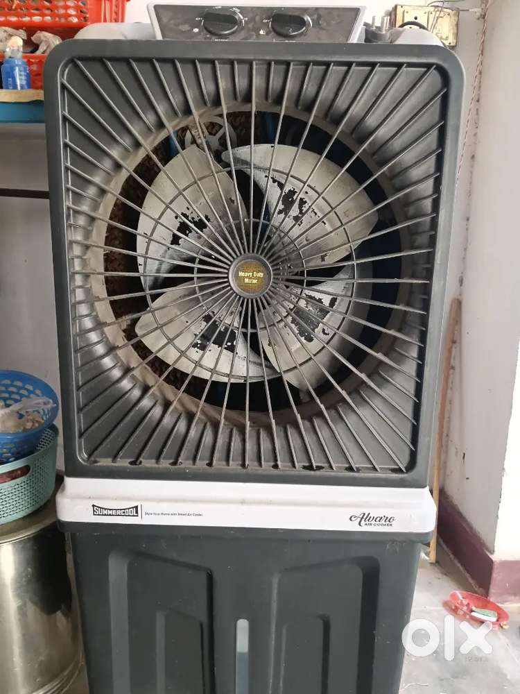 Summer cooler