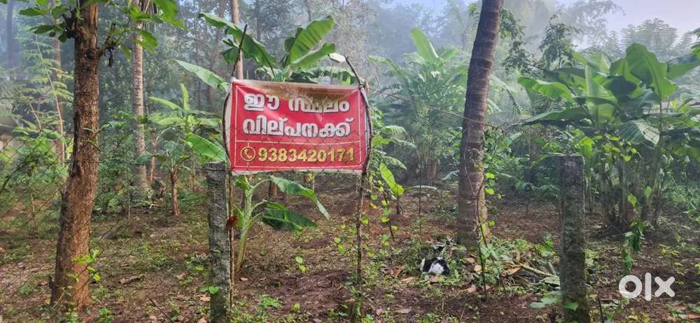 Dhoni land for sale