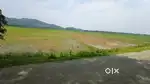 10 Bigha Road Side land for sale..