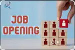Earn money from your own home join this job