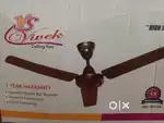 Ceiling fan