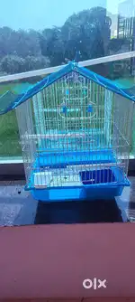 Birds cage