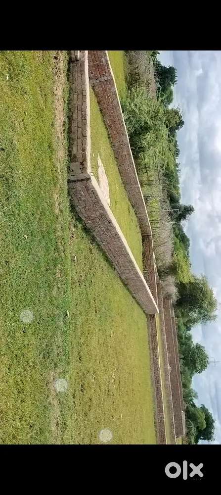 Only intrested people/Buyer