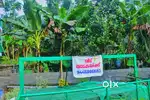 വീട് വാടകക്ക്, 1BHK3500 മുതൽ Near to KGLM, MVPA, VARAPPETTY