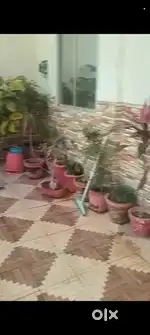 2BHK duplex (Semi furnished)