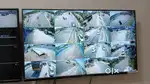 Cctv technician full time job