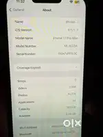 1 year old 13 pro max