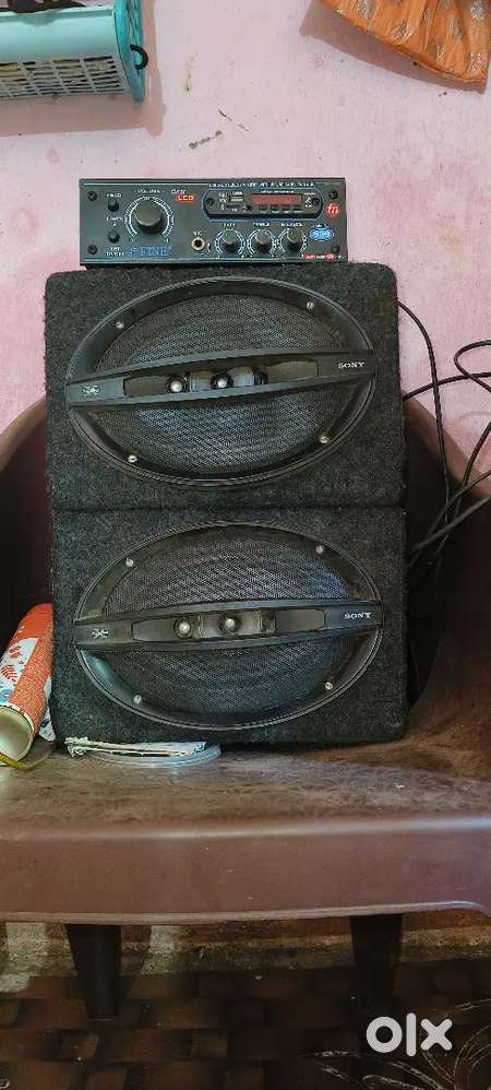 Sony 12inch speaker