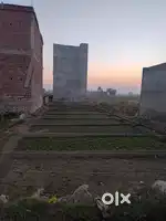 Plot for sell