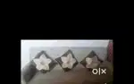 5seater sofa set