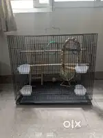 Spacious Bird Cage with Accessories