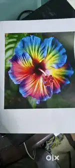 2 Printer HP LASERJET COLOUR CP1025 PRINTER