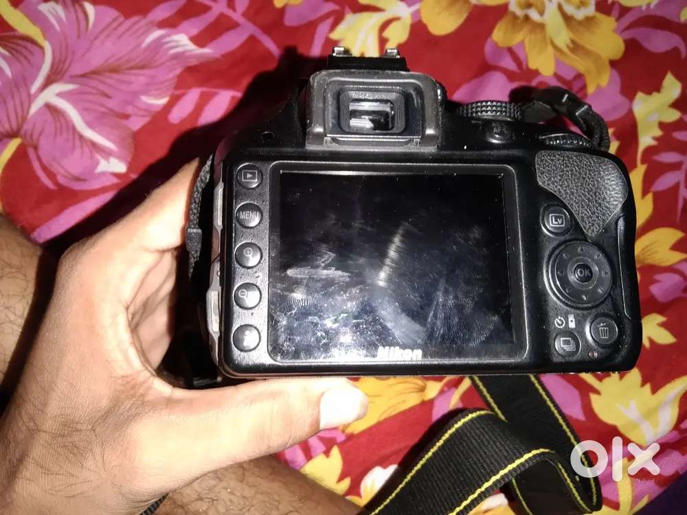 Cemara 33D