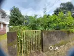 Plot for Sale in Pallikkara
