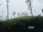 1.90 cent of Land in Wagamon